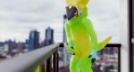 2025 3d_(artwork) 4_claws 4_fingers absurd_res anthro armorless_protogen balcony belly biped black_claws blender_(artwork) blue_body blue_claws blue_fingers blue_fur blue_hair blue_hand blue_hands blue_mouth blue_tail bodily_fluids city city_background cityscape claws colored cum cum_drip cum_on_claw cum_on_claws cum_on_fur cum_on_glass cum_on_hand cum_on_own_claw cum_on_own_claws cum_on_own_hand cum_on_own_penis cum_on_penis cum_on_self cum_on_wall cumming_outside cumshot digital_media_(artwork) dripping ejaculation erection exhibitionism eyes_closed fingers fluffy fluffy_arms fluffy_belly fluffy_body fluffy_chest fluffy_ear fluffy_ears fluffy_fur fluffy_head fluffy_legs fur furniture genital_fluids genitals gradient_penis green_arm green_arms green_body green_face green_fur green_hair green_head green_leg green_legs green_mouth green_penis green_tail hair hi_res holding_penis looking_at_genitalia looking_at_penis looking_down looking_down_at_genitalia looking_down_at_penis machine male masturbation multicolored_belly multicolored_body multicolored_chest multicolored_face multicolored_fur multicolored_head multicolored_legs multicolored_penis multicolored_tail nonbinary_(lore) nude orgasm outside penile penile_masturbation penis protogen protogen_face protogen_visor relieved retiu retiu_(retiu) screen screen_face sky smile solo tail tapering_penis yellow_belly yellow_body yellow_chest yellow_ears yellow_eyes yellow_fur yellow_head yellow_legs yellow_tail