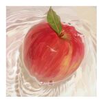  apple art_study border commentary english_commentary food food_focus fruit goomyloid highres leaf no_humans original realistic water white_border 