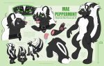  absurd_res anthro ferretteacreations hi_res mae_peppermint male mammal mephitid model_sheet skunk solo 