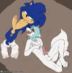  anthro arctic_wolf armpit_sniffing bed canid canine canis clothing duo eulipotyphlan footwear fuf furniture hedgehog hi_res lying lying_on_bed male male/male mammal musk on_bed raaf_helder_(character) sega sniffing socks sonic_the_hedgehog sonic_the_hedgehog_(film) sonic_the_hedgehog_(series) wolf 