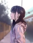  1girl asahi_yuuji bangs blurry blurry_background brown_eyes brown_hair building closed_mouth half_updo highres hood hoodie long_hair long_sleeves looking_up original outdoors pink_hoodie profile smile solo standing tree 