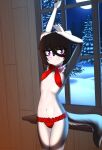  anthro black_hair blush bra breasts canid canine canis clothed clothing erdfurry female flat_chested fur gift goth grey_body grey_fur hair hi_res leah_(erdfurry) mammal mostly_nude panties purple_eyes small_breasts solo topwear underwear 