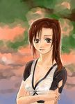  blurry blurry_background blush breasts brown_eyes brown_hair cleavage closed_mouth collarbone covered_nipples expressionless final_fantasy final_fantasy_xi hand_on_own_arm holding_arm hume lips long_hair looking_at_viewer medium_breasts no_bra ponytail puipui see-through short_sleeves solo upper_body water water_drop wet wet_clothes wet_hair 