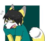  anthro black_hair canid canine clothing embarrassed emo eyeliner fox green_clothing hair humanoid makeup male mammal marsthesergal solo 
