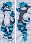 2025 4_fingers 4_toes anthro armwear bedroom_eyes biped blue_eyes blue_hair blue_tongue butt canid canine canis claws clothed clothed_anthro clothed_male clothing countershade_torso countershading dakimakura dakimakura_design digital_drawing_(artwork) digital_media_(artwork) domestic_dog feet finger_claws fingers fur grey_body grey_fur grey_tail hair hi_res jinxit legwear looking_at_viewer lying male mammal narrowed_eyes on_back on_front pawpads paws seductive smile solo tail teeth thigh_highs toe_claws toes tongue