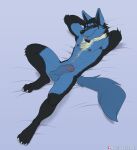 3_toes abs absurd_res anthro anthrofied arm_tuft artist_name athletic athletic_anthro athletic_male balls beard biped black_armpit_hair black_beard black_body black_facial_hair black_fur black_hair black_inner_ear black_inner_ear_fluff black_nose blue_body blue_ears blue_fur blue_tail body_hair chest_hair claws digital_drawing_(artwork) digital_media_(artwork) elbow_tuft erection facial_hair feet flat_colors foreskin full-length_portrait fur generation_4_pokemon genitals glans hair hands_behind_head happy_trail hi_res high-angle_view humanoid_genitalia humanoid_penis inner_ear_fluff kensha_(shy001) looking_at_viewer lucario lying male male_anthro monotone_tail multicolored_body multicolored_fur narrowed_eyes navel neck_tuft nintendo nipples nude nude_anthro nude_male on_back open_mouth open_smile partially_retracted_foreskin patreon patreon_logo patreon_username penis pink_glans pink_tongue pokemon pokemon_(species) pokemorph portrait red_eyes shaft_divide short_hair simple_background smile smiling_at_viewer solo spelunker_sal tail teeth text toe_claws toes tongue tuft whisker_spots white_body white_claws white_fur white_toe_claws