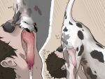 2025 ambiguous_gender ambiguous_human ambiguous_penetrated anatomically_correct anatomically_correct_genitalia anatomically_correct_penis animal_genitalia animal_penis anus ass_up balls balls_on_face bent_over bestiality black_balls black_spots bodily_fluids brown_hair butt canid canine canine_genitalia canine_penis canis close-up cum cum_in_mouth cum_inside cum_string cumshot dalmatian deep_throat digital_media_(artwork) directional_arrow domestic_dog dominant dominant_feral dominant_male drinking drinking_cum duo ejaculation face_fucking face_mounting feral feral_penetrating feral_penetrating_human fur genital_fluids genitals hair hi_res hotdogmeat human human_on_feral human_penetrated humping internal internal_oral interspecies irrumatio knot knotted_penis knotting male male/ambiguous male_feral male_penetrating male_penetrating_ambiguous mammal motion_lines oral oral_penetration orgasm penetration penile penis penis_in_mouth puffy_anus pushing realistic_feral realistic_penis_size saggy_balls saliva saliva_on_penis saliva_string sex sheath side_view simple_background spots text thrusting toony translucent white_body white_fur
