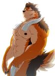  abs anthro barrel_(live-a-hero) butt canid canine canis fur hi_res lifewonders live-a-hero male mammal multicolored_body multicolored_fur muscular muscular_anthro muscular_male nipples nude one_eye_closed pecs samoji towel video_games wink wolf 