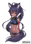  1girl :d absurdres ahoge animal_ear_fluff animal_ears bandaged_arm bandages bare_shoulders black_hair blue_shirt blue_shorts breasts brown_kemomimi-chan_(krr) commission crop_top dark_skin dungeon_and_fighter gomrang highleg highres long_hair looking_at_viewer medium_breasts micro_shorts midriff navel open_fly open_mouth panties pink_eyes shirt shorts sleeveless sleeveless_shirt smile solo stomach string_panties thighs thong underwear very_long_hair wolf_ears 