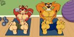  2020 abs absurd_res activision anthro areola armpit_hair bandicoot barefoot biceps bodily_fluids body_hair brown_eyes clothed clothing crash_bandicoot_(series) crunch_bandicoot dasyuromorph detailed_background digital_media_(artwork) doritohead dumbbell duo exercise exercise_ball feet fur green_eyes gym hair hands_behind_head hi_res inside male mammal marsupial multicolored_body multicolored_fur muscular muscular_anthro muscular_male nipples orange_body orange_fur pecs red_body red_fur red_hair sharp_teeth short_hair signature sit_up smile sweat tan_body tan_fur teeth thylacine tiny_tiger toes topless topless_anthro topless_male two_tone_body two_tone_fur video_games weights workout 