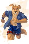  2022 absurd_res anthro bird_dog bottomwear canid canine canis clothing domestic_dog gradient_background hi_res hunter_(road_rovers) hunting_dog jacket labrador leo-artis looking_at_viewer male mammal retriever road_rovers shorts simple_background smile solo teeth topwear triangle_(shape) white_background wristband 
