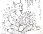  anthro bottomwear canid canine clothed clothing eyes_closed fox fur goldendruid greyscale hair male mammal monochrome navel plant shorts sitting solo text topless url 