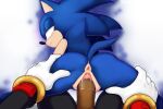  andromorph anthro anus arrow_hearted butt crossgender duo first_person_view genitals intersex intersex/male looking_back male nude penis pussy sega shadow_the_hedgehog sonic_the_hedgehog sonic_the_hedgehog_(series) vaginal 
