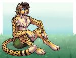  anthro blue_eyes bottomwear cheetah clothed clothing felid feline fluffy hi_res male mammal mang paws shirtless shirtless_male shorts sitting smile solo spots 