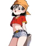  1girl bandana belt black_belt black_eyes black_hair blush collarbone cowboy_shot dragon_ball dragon_ball_gt fingerless_gloves flat_chest gloves grey_shorts highres looking_at_viewer medium_hair nico-mo open_mouth orange_bandana pan_(dragon_ball) shirt shorts simple_background white_background 