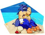 alpha_channel anthro balls belly big_butt blue_body blue_nipples butt clothing digital_media_(artwork) duo eulipotyphlan fingerless_gloves fingerless_gloves_only genitals glans gloves gloves_only hair handwear handwear_only hedgehog hi_res huge_butt jewelry male male/male male_penetrated male_penetrating male_penetrating_male mammal mostly_nude navel nipples outside overweight overweight_male penetration penis ring sega selfcest sex simple_eyes slyden'in sonic_the_hedgehog sonic_the_hedgehog_(series) square_crossover textless thick_thighs tongue wide_hips