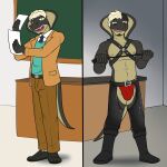 accessory anthro belt blazer blonde_hair boots chalkboard chaps clothing cobra collared_shirt desk dress_shirt facial_hair footwear furniture fuze hair harness hi_res holding_object holding_paper holding_riding_crop holding_whip male navel necktie nipples paper percival_(texnatsu) reptile riding_crop scalie shaded shadow shirt shoes snake solo standing sweater sweater_vest table tail texnatsu topwear underwear vest whip