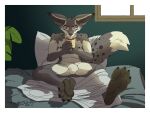 4_toes 5_toes anthro balls barefoot bed bedding bedroom beverage blanket blizzard_entertainment border brown_body canid canine canis claws coffee container countershade_feet countershading cup drinking eye_scar facial_scar featureless_crotch feet fingers foot_fetish foot_focus fox fur furniture genitals grey_body grey_fur hi_res holding_object inside looking_at_viewer male male_anthro mammal markings mug multicolored_body nipples nude nude_anthro nude_male on_bed patoso paws pillow pink_eyes plantigrade scar sitting sitting_on_bed soles solo spots tail toe_claws toes tongue tongue_out vulpera warcraft white_body white_border window wolf