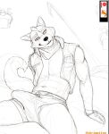 2026 anthro bulge canid canine clothed clothing detailed_bulge digital_drawing_(artwork) digital_media_(artwork) english_description fox fox_mccloud genitals humanoid_genitalia humanoid_hands humanoid_penis jacket looking_at_viewer male mammal navel nintendo open_clothing open_jacket open_topwear patreon patreon_logo penis shrimpiing sitting sketch solo star_fox topwear underwear