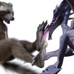 1:1 alpha_channel anthro brown_body brown_fur dragon duo foot_fetish foot_grab foot_lick foot_play fur genitals guardians_of_the_galaxy licking looking_at_another male male/male mammal marvel metroid nintendo open_mouth paws penis procyonid purple_body raccoon ridley rocket_raccoon tawzy tongue tongue_out video_games 