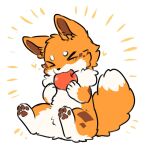 >_< 2026 ambiguous_gender apple apple_in_mouth black_nose blush blush_lines brown_inner_ear brown_markings brown_pawpads canid canine canis cheek_tuft crotch_tuft digital_media_(artwork) dipstick_tail domestic_dog eating eyes_closed facial_markings facial_tuft featureless_crotch female_(lore) feral food fruit fur head_markings kitsuneinu mammal markings multicolored_body multicolored_fur orange_body orange_ears orange_fur orange_tail pawpads paws plant pointy_ears prick_ears quadruped sitting snout solo tail tail_markings three-quarter_view tsukune_minaga tuft white_body white_fur white_tail_tip