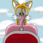  amy_rose anthro blush butt canid canine clothed clothing duo female feral fox male male/female mammal miles_prower panties partially_clothed presenting sega sonic_the_hedgehog sonic_the_hedgehog_(series) spanky15 underwear underwear_down 