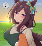  1girl 1other :t animal_ears black_hair blue_bow blush bow breasts brown_hair brown_shirt carrot closed_mouth cloud commentary_request dress ear_bow eating feeding food food_on_face green_dress hair_ornament hairclip highres holding holding_carrot holding_food horse_ears horse_girl horse_racing_track large_breasts long_hair looking_at_viewer low_ponytail mejiro_dober_(umamusume) musical_note outdoors ponytail pov pov_hands purple_eyes shirt sky smile solo_focus spoken_musical_note sunset takiki umamusume very_long_hair wavy_mouth 