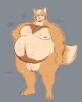 aged_up animal_genitalia balls beard belly belly_hair big_balls big_belly big_sheath body_hair brown_hair canid canine chest_hair dipstick_tail facial_hair fox fox_mccloud fur genitals green_eyes grey_background hair hi_res male mammal marcyyorsa markings mature_male moobs musclegut muscular nintendo nipples nude orange_body orange_fur overweight overweight_male penis sheath simple_background solo star_fox tail tail_markings tan_body tan_fur