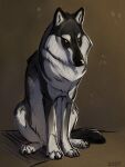 2020 absurd_res alexpahomov ambiguous_gender black_body black_claws black_fur black_nose canid canine canis claws digital_drawing_(artwork) digital_media_(artwork) feral fluffy fur hi_res mammal multicolored_body multicolored_fur quadruped solo two_tone_body two_tone_fur white_body white_fur wolf yellow_eyes