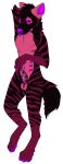  anatomically_correct anthro atrius atrius97 belly_nipples black_body blep cackling-beast chastity_cage chastity_device fur hi_res hyaenid looking_at_viewer male mammal pink_body pink_fur pink_stripes purple_body purple_eyes purple_skin solo striped_hyena stripes tongue tongue_out 