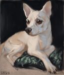 2020 absurd_res alexpahomov ambiguous_gender black_background black_claws black_nose brown_eyes canid canine canis chihuahua claws digital_media_(artwork) digital_painting_(artwork) domestic_dog feral fur hi_res lying mammal painting_(artwork) paws pillow quadruped short_fur simple_background solo toy_dog white_body white_fur