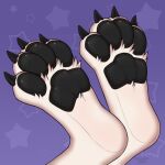  anthro canid canine canis feet feet_up foot_fetish foot_focus kazuk9 male mammal pawpads paws sabbyth solo toes wolf 