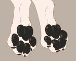  ambiguous_gender animated black_pawpads canid canine canis claws faceless_character feet foot_fetish foot_focus fur hi_res male mammal mituni_(artist) pawpads paws sabbyth solo spread_toes toe_claws toe_curl toes white_body white_fur wolf 