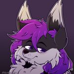 1:1 2024 anthro artist_name black_body black_fur black_nose bunkoo canid canine canis eyebrows facial_hair fur goatee grey_background grey_body grey_fur hair headshot_portrait hi_res icon inner_ear_fluff jack_(neojack) jackal male male_anthro mammal multicolored_body multicolored_fur nonbinary_(lore) ponytail portrait purple_eyes simple_background smug solo text tuft two_tone_body two_tone_fur