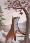 2020 alexpahomov black_nose canid canine digital_drawing_(artwork) digital_media_(artwork) dipstick_tail evergreen_tree feral fox fur hi_res leaf leg_markings mammal markings mountain orange_body orange_fur pine_tree plant quadruped snow socks_(marking) solo tail tail_markings tree white_chest white_tail_tip winter