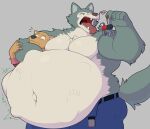 2026 abdominal_bulge absurd_res anthro beastars belly belt big_belly blush brown_body brown_fur canid canine canis chokehold clothed clothing fangs fully_clothed fur grey_body grey_fur group headlock hi_res hidi huge_belly imminent_oral_vore imminent_vore legoshi_(beastars) lifted lifted_by_tail male mammal moobs motion_lines mouse murid murine musclegut muscular navel nervous open_belt open_mouth outie_navel overweight rodent scar sharp_teeth simple_background size_difference smile soft_vore standing tail teeth tongue topless trio uvula vore white_body white_fur willing_prey wolf
