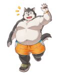  2022 absurd_res anthro belly big_belly black_nose blush bottomwear canid canine canis clothing domestic_dog footwear grey_body hi_res humanoid_hands husky kemono male mammal nordic_sled_dog overweight overweight_male sandals shorts simple_background solo spitz white_background yukimushi6 