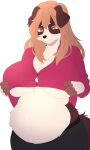 3:5 absurd_res anthro belly belly_overhang big_belly big_breasts blush breasts canid canine canis clothed clothing clothing_lift collared_shirt collie domestic_dog dress_shirt female front_view hair herding_dog hi_res huge_breasts mammal navel overweight overweight_anthro overweight_female pastoral_dog sarah_(corgipudding) sheepdog shinorui shirt shirt_lift simple_background slightly_chubby smile smiling_at_viewer solo thick_thighs topwear topwearfur under_boob wide_hips