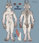 anapnea animal_genitalia animal_penis anthro balls bobcat butt digital_media_(artwork) english_text erection feet felid feline fur genitals looking_at_viewer lynx male mammal model_sheet multi_nipple nipples nude pawpads penile_spines penis sheath simple_background smile solo standing tail text tim_(anapnea) toes