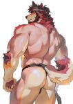 accessory anthro arm_tuft asian_clothing back_groove back_muscles barazoku bulge butt canid canine clothed clothing east_asian_clothing elbow_tuft facial_hair fundoshi fundoshi_only fur hair headband hi_res japanese_clothing male mammal muscular muscular_anthro muscular_male portrait rear_view seatohao simple_background solo tail three-quarter_portrait topless tough_guy tuft underwear underwear_only