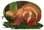 2026 animal_genitalia animal_vulva anus bedroom_eyes branch butt butt_focus claws colored countershading dewclaw digital_media_(artwork) digital_painting_(artwork) dinosaur emanata feet female feral flower fog foggy_background forest forest_background genitals geometric_background grass green_eyes hair_strands heart_symbol hi_res indominus_rex jurassic_park jurassic_world light_body light_scales looking_at_viewer looking_back lying narrowed_eyes on_front on_ground orange_body orange_scales outside painting_(artwork) paws plant prehistoric_species presenting presenting_hindquarters presenting_vulva reptile ridges saurischian scales scalie seductive shaded simple_background skific smile smirk solo spread_vulva spreading tail teeth theropod tree universal_studios vaginal vulva yellow_flower