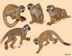 2024 alexpahomov black_eyes black_tail_tip brown_body brown_fur cebid climbing digital_drawing_(artwork) digital_media_(artwork) dipstick_tail feral fur grey_body grey_fur haplorhine hi_res long_tail mammal markings monkey new_world_monkey primate quadruped sitting solo squirrel_monkey tail tail_markings tan_body tan_fur walking