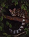 2024 alexpahomov black_markings black_nose black_stripes branch dark darkness digital_media_(artwork) digital_painting_(artwork) feral genet glowing glowing_eyes hi_res in_tree leaf long_tail mammal markings night on_branch painting_(artwork) plant solo spots striped_markings striped_tail stripes tail tail_markings tree viverrid whiskers white_stripes