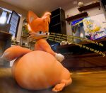 3d_(artwork) angry anthro big_butt butt canid canine controller dialogue digital_media_(artwork) electronics femboy flatscreen fox freckles furrowed_eyebrows game_controller gaming half-closed_eyes huge_butt hyper hyper_butt kirby_animatez kneeling looking_aside looking_aside_at_viewer looking_at_viewer low-angle_view male mammal miles_prower musk musky_butt narrowed_eyes open_mouth playing_video_game red_fox sega solo sonic_racing:_crossworlds sonic_the_hedgehog_(series) television text thick_thighs threatening true_fox vr_headset