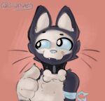 ambiguous_gender anthro black_arms black_body black_collar black_eyes black_fur black_head blue_sclera bone bone_collar bust_portrait chest_tuft collar digital_drawing_(artwork) digital_media_(artwork) domestic_cat fangs felid feline felis fur hi_res male_(lore) mammal marrow_(serven) portrait pupils serven signature simple_background solo teeth tuft whiskers white_body white_chest white_face white_fur white_hands white_inner_ear white_paws white_pupils