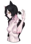  1girl absurdres animal_ears areolae black_fur black_hair cat_ears cat_girl collarbone cropped_torso dungeon_meshi hand_up head_tilt highres izutsumi navel nude parted_lips ponytail seshengquyi simple_background solo white_background yellow_eyes 