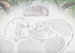 anaconda anthro boa_(snake) boinae disney duo eyelashes felpur female feral fur hair hi_res inkanyamba kaa_(jungle_book) larger_feral male male/female mammal nude procyonid python raccoon reference_image reptile scalie serpentine simple_background size_difference sketch smile snake tacokurt the_jungle_book