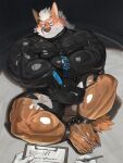 3:4 angry anthro arms_tied bared_teeth bdsm black_latex blue_eyes blush bondage bottomless bound canid canine canis claws clipboard clothed clothing crotch_head cuff_(restraint) encasement english_text feet fluffy fluffy_tail hair handcuffs hi_res holding_object holding_pen latex latex_clothing latex_skinsuit legs_tied liquid_latex looking_at_viewer male mammal metal_cuffs mostly_nude muscular muscular_arms muscular_legs muscular_male offscreen_character open_mouth orange_body pecs pen pointy_ears restrained restrained_arms restrained_legs restraints skinsuit solo straitjacket tail teeth text tight_clothing uriex wolf