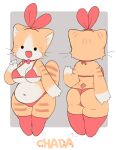 2026 absurd_res accessory anthro belly big_belly black_eyes bow_tie bra cheek_tuft clothing domestic_cat facial_tuft felid feline felis female footwear fur gloves_(marking) headband hi_res mammal markings multicolored_body multicolored_fur navel open_mouth orange_body orange_fur panties red_bow_tie red_bra red_clothing red_footwear red_panties red_socks red_underwear seuppi simple_background socks solo striped_body striped_fur stripes tuft two_tone_body two_tone_fur underwear whiskers white_body white_fur