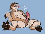  anthro brown_hair canid canine canis coyote ears_down ejaculation fetishame genitals hair hi_res knot male mammal masturbation open_mouth pawpads paws penis pivoted_ears solo spread_legs spreading tongue tongue_out vein veiny_penis 